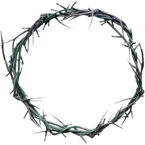 crown of thorns 8-10" Diameter，Wall Hanging Decoration, Religious Gift