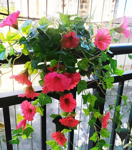 Calcifer 1 Branch(12 Stems/23 Flowers) Artificial Morning Glory Trumpet Flower Vine Plastic Flower Bouquet Hanging Wall Strings Flowers for Home Garden Wedding Party Decoration (Purple) in Kuwait