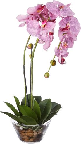Nearly Natural Phalaenopsis with Glass Vase Silk Flower Arrangement in Kuwait