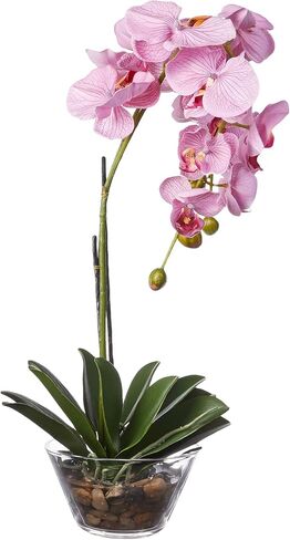 Nearly Natural Phalaenopsis with Glass Vase Silk Flower Arrangement in Kuwait