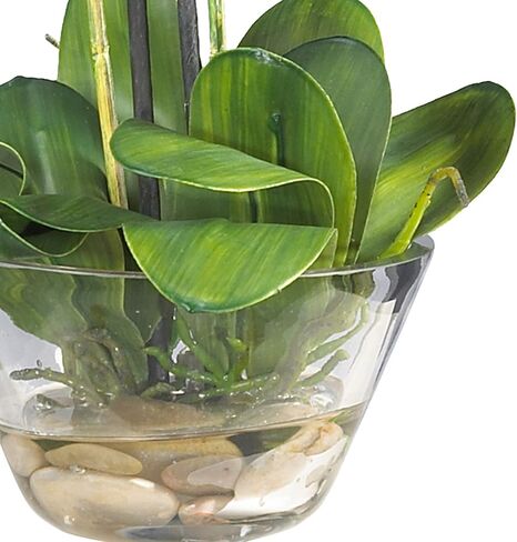 Nearly Natural Phalaenopsis with Glass Vase Silk Flower Arrangement in Kuwait