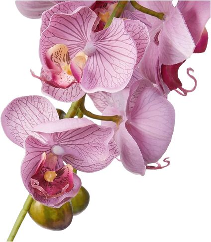 Nearly Natural Phalaenopsis with Glass Vase Silk Flower Arrangement in Kuwait