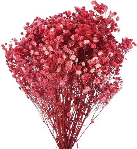 MECCANIXITY Artificial Dried Baby's Breath Flowers 12 Inch Gypsophila Red Natural Baby's Breath Branches for Wedding Party Home Decoration 1 Pcs in Saudi Arabia