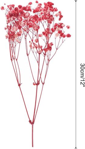 MECCANIXITY Artificial Dried Baby's Breath Flowers 12 Inch Gypsophila Red Natural Baby's Breath Branches for Wedding Party Home Decoration 1 Pcs in Saudi Arabia