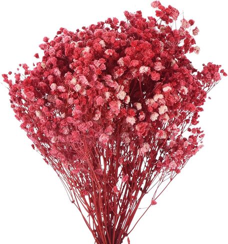 MECCANIXITY Artificial Dried Baby's Breath Flowers 12 Inch Gypsophila Red Natural Baby's Breath Branches for Wedding Party Home Decoration 1 Pcs in Saudi Arabia