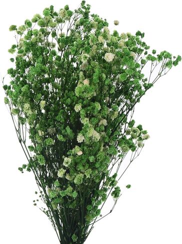 MECCANIXITY Artificial Dried Baby's Breath Flowers 12 Inch Gypsophila Red Natural Baby's Breath Branches for Wedding Party Home Decoration 1 Pcs in Saudi Arabia