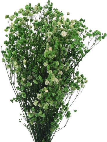 MECCANIXITY Artificial Dried Baby's Breath Flowers 12 Inch Gypsophila Red Natural Baby's Breath Branches for Wedding Party Home Decoration 1 Pcs in Saudi Arabia