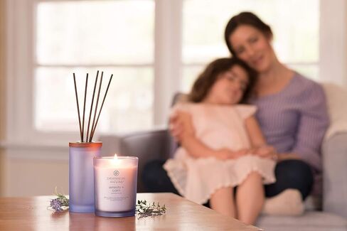 Chesapeake Bay Candle PT40896 Scented Candle, Stillness + Purity (Rose Water), Coffee Table,Orange, Home Décor in Saudi Arabia