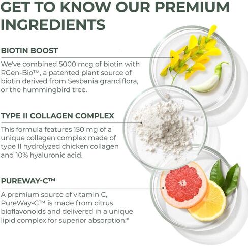 Primal Harvest 1 Pack, Hair Growth Vitamins, Hair Growth for Women & Men - 60 Hair Growth Pills, Natural Hair Thickening Product w/Biotin & Zinc - Hair Supplement, Regrowth Hair Vitamins in Kuwait