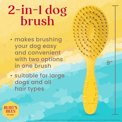 Burt’s Bees for Pets Detangling Pin Brush for Dogs with Medium to Long Hair with Handle Made from Recycled Plastics Collected from Coastal Communities | Dog Brush Removes Tangles and Loosens Matting in Saudi Arabia