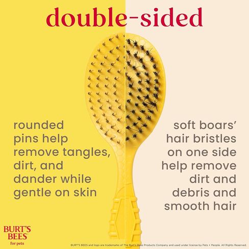 Burt’s Bees for Pets Detangling Pin Brush for Dogs with Medium to Long Hair with Handle Made from Recycled Plastics Collected from Coastal Communities | Dog Brush Removes Tangles and Loosens Matting in Saudi Arabia