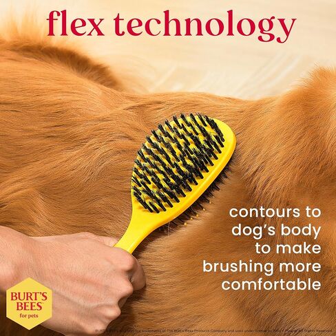 Burt’s Bees for Pets Detangling Pin Brush for Dogs with Medium to Long Hair with Handle Made from Recycled Plastics Collected from Coastal Communities | Dog Brush Removes Tangles and Loosens Matting in Saudi Arabia