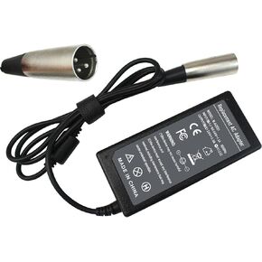 24V 2A Scooter Battery Charger for Go-Go Elite Traveller Ezip 400 500; Schwinn S300 S350 S400 S500 Jazzy Power Chair Mongoose M300 M350 Series