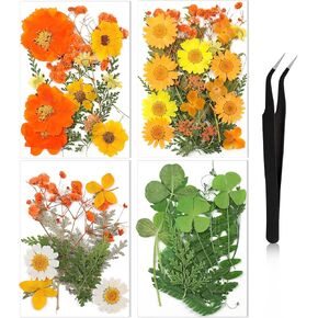Nuanchu Pressed Flowers Bulk Dried Flower for Crafts, Dried Flower Leave Natural with Tweezer for Resin Mold Scrapbooking DIY (Bright Style)