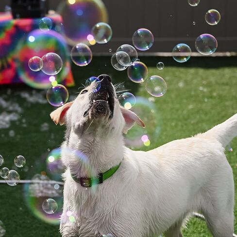 الفقاعات الذرية: فقاعات الحب الجرو: عبوة من قطعتين معطرة بكعكة عيد الميلاد - زجاجات سعة 4 أونصة، لعبة تفاعلية للكلاب، آمنة للحيوانات الأليفة، غير سامة، داخلية/خارجية، تدوم طويلاً in Kuwait