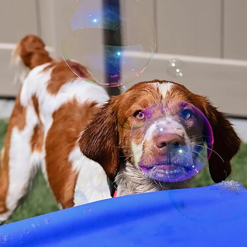 الفقاعات الذرية: فقاعات الحب الجرو: عبوة من قطعتين معطرة بكعكة عيد الميلاد - زجاجات سعة 4 أونصة، لعبة تفاعلية للكلاب، آمنة للحيوانات الأليفة، غير سامة، داخلية/خارجية، تدوم طويلاً in Kuwait