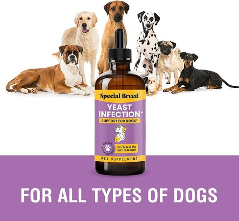 Yeast Infection Treatment for Dogs - Soothing Itch Relief, Ear Infection Treatment, Reduces Irritation & Inflammation, 2 oz in Saudi Arabia