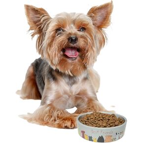 SPOT Best Friends Pet Food Dish - Food or Water Ceramic Bowl for Pets, Ideal for Medium & Large Dogs, Dishwasher Safe, 5 Cups (40oz) Capacity - 7in, Light Grey