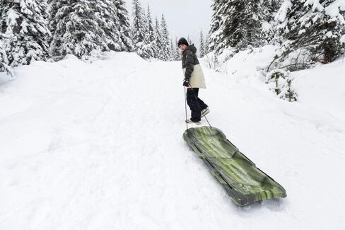 Pelican Sled Mega Snow Glider - Single or Combo - 4 Season Sled - Any Outdoors Activities in Kuwait