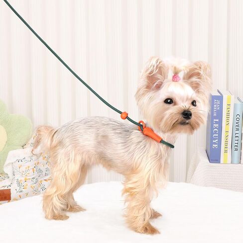 dafuen 6 قدم الكلب زلة الرصاص الكلب المقود الكلب التدريب الكلاسيكي المقود خفيفة الوزن دائم زلة يؤدي للكلاب عدم سحب زلة المقود وطوق مقود الكلب للكلاب الصغيرة المتوسطة in Kuwait
