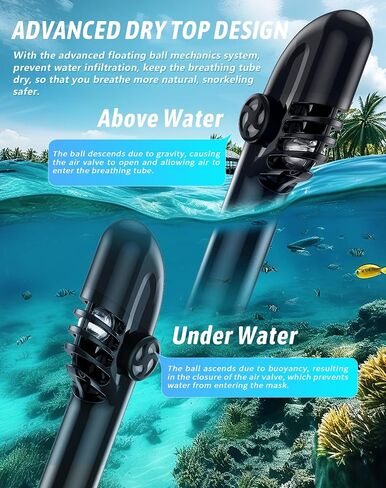 Zenoplige Full Face Snorkel Mask Adults with Camera Mount，Dry-Top Snorkeling Gear for Adults，Foldable 180-Degree Panoramic Anti-Fog Scuba Mask for Snorkeling Diving Swimming Travel in Saudi Arabia