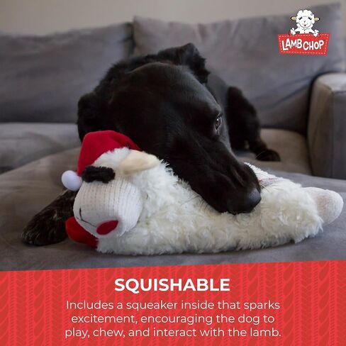Multipet's 3.5-Inch Boingo Ball Dog Toy , (colors may vary) in Saudi Arabia