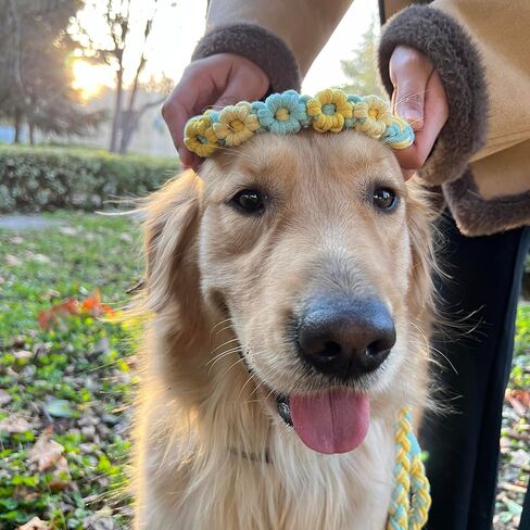 Handmade 5ft Braided Cotton Dog Leash with Unique Floral Handle, Durable and Stylish, Ideal for Small to Large Dogs, Rainbow Color in Kuwait