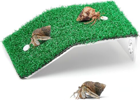 Shappy Hermit Crab Climbing Toys Simulation Grass Hermit Crab Ramp Climbing Ladder Inch Hermit Crab Supplies Reptile Climbing Decor for Hermit Crab Habitat Aquarium (7.08 x 4.72 x 1.77 Inch) in Saudi Arabia