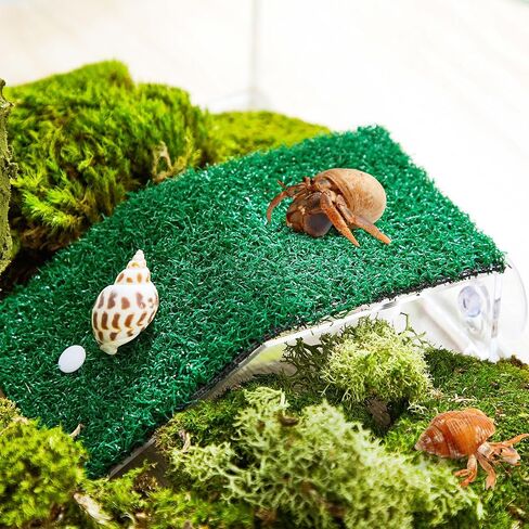 Shappy Hermit Crab Climbing Toys Simulation Grass Hermit Crab Ramp Climbing Ladder Inch Hermit Crab Supplies Reptile Climbing Decor for Hermit Crab Habitat Aquarium (7.08 x 4.72 x 1.77 Inch) in Saudi Arabia