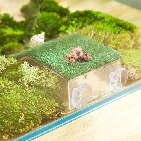 Shappy Hermit Crab Climbing Toys Simulation Grass Hermit Crab Ramp Climbing Ladder Inch Hermit Crab Supplies Reptile Climbing Decor for Hermit Crab Habitat Aquarium (7.08 x 4.72 x 1.77 Inch) in Saudi Arabia