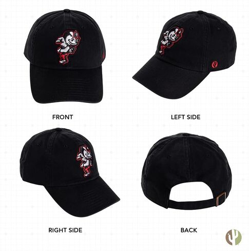 Desert Cactus The Ohio State University Baseball Hat OSU Buckeyes Brimmed Embroirderd Hats Cap Adjustable Cloth Strap Adult (Style F1) Red in Saudi Arabia