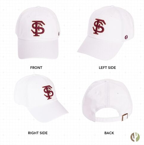 Desert Cactus Florida State University Baseball Hat Seminoles FSU Brimmed Embroirderd Hats Cap Adjustable Cloth Strap Adult (Style H1) Black in Saudi Arabia