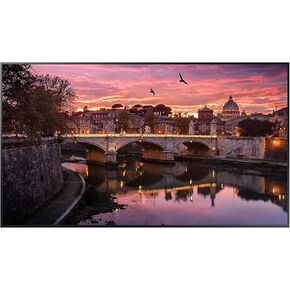 Samsung Business QB55R 55 inch 4K UHD LED Commercial Signage Display for Business with HDMI, Wi-Fi, 350 nit (LH55QBREBGCXZA)