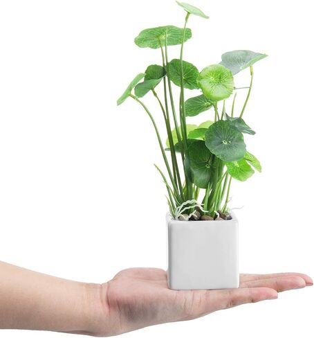 MyGift Modern Trio of Artificial Assorted Green Leaf Plants Potted in Black Ceramic 3-Inch Square Pots, Small Faux Foliage Indoor Tabletop Houseplants, 3 Piece Set in Saudi Arabia