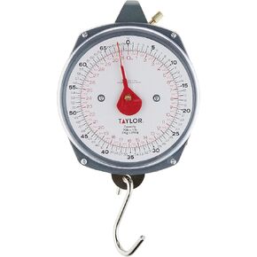 Taylor Dial Style 70-Pound Industrial Hanging Scale