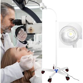 12W Exam Light,Mobile Surgical Examination Lamp,LED Medical Exam Lamp with 5 Stainless Steel Mute Universal Wheels