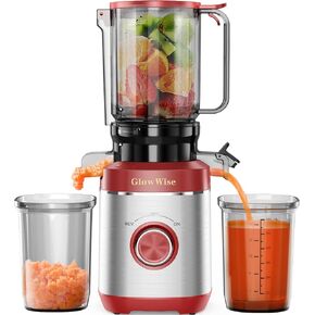 Juicer Machines with Built-in Blades for Slicing Whole Fruits & Vegetables, Cold Press Juicer with 4.35" Large Feeding Chute, Easy to Clean, Quiet Masticating Juicer with High Juice Yield