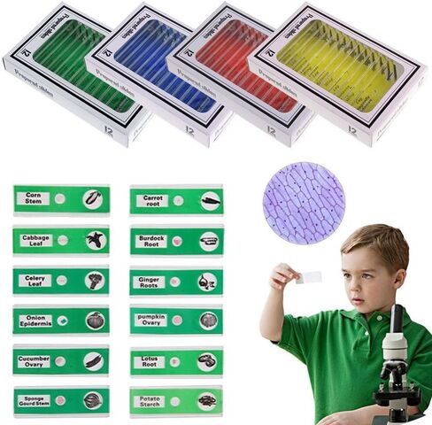 Prepared Microscope Slides for Kids, 48pcs Plastic Animals Insects Plants Flowers Sample Specimens for Students Children Homeschooling Biology Science Programs in Kuwait