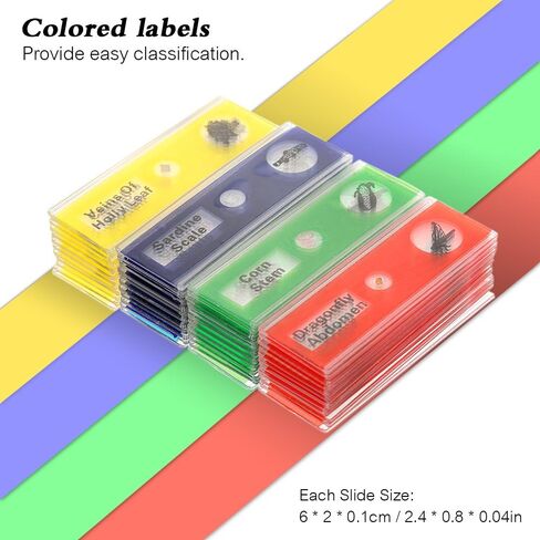 Prepared Microscope Slides for Kids, 48pcs Plastic Animals Insects Plants Flowers Sample Specimens for Students Children Homeschooling Biology Science Programs in Kuwait