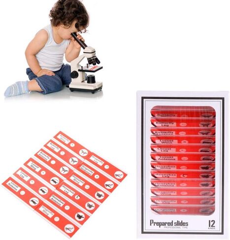Prepared Microscope Slides for Kids, 48pcs Plastic Animals Insects Plants Flowers Sample Specimens for Students Children Homeschooling Biology Science Programs in Kuwait