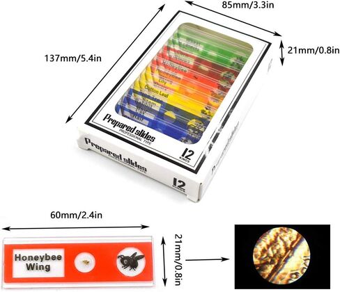 Prepared Microscope Slides for Kids, 48pcs Plastic Animals Insects Plants Flowers Sample Specimens for Students Children Homeschooling Biology Science Programs in Kuwait