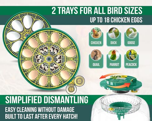 Dural's DX5® | FCC Certified Egg Incubator | Professional Egg Incubator with Automatic Turning & Humidity Control | 18 Chicken, Quail, Duck Eggs | Precise Temperature | Easy to Clean in Saudi Arabia
