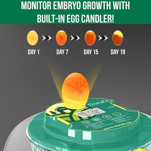 Dural's DX5® | FCC Certified Egg Incubator | Professional Egg Incubator with Automatic Turning & Humidity Control | 18 Chicken, Quail, Duck Eggs | Precise Temperature | Easy to Clean in Saudi Arabia