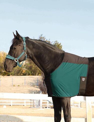 Harrison Howard Sleek Nylon and Stretch Horse Shoulder Guard Lightweight Comfortable Breathable Protective Chest Protector Deep Green L in Kuwait