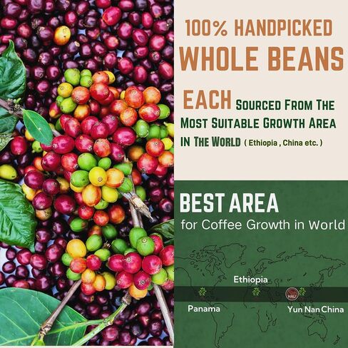 HALI Whole Coffee Beans Espresso Medium Dark Roast Arabica Blend Fruit Drops Creamy Fruity Candy Sweety Hazelnut Flavor Fresh Roasted Coffee Beans Whole Acid Free Low Acid full Bodied Espresso Beans Whole Smooth Rich Taste Qiu Xu Autumn 2.2 Pound (2.2lb p in Saudi Arabia