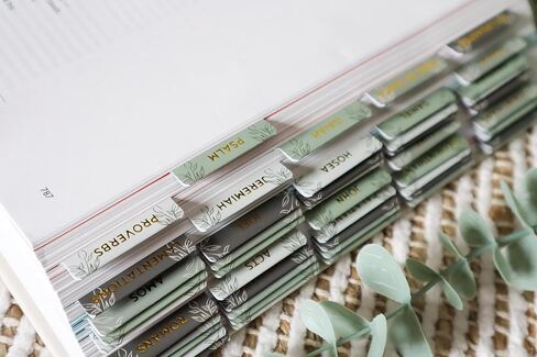 الملح والضوء - نعيم الصنوبر - رقائق الذهب - طلاء غير لامع - علامات الكتاب المقدس - يوميات - علامات تبويب فهرس جميلة - 66 كتابًا + إضافي - فهرسة - مغلفة - متينة - جودة عالية - محايد - للنساء والرجال in Kuwait