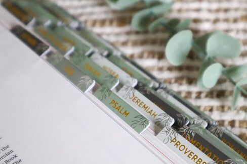 الملح والضوء - نعيم الصنوبر - رقائق الذهب - طلاء غير لامع - علامات الكتاب المقدس - يوميات - علامات تبويب فهرس جميلة - 66 كتابًا + إضافي - فهرسة - مغلفة - متينة - جودة عالية - محايد - للنساء والرجال in Kuwait