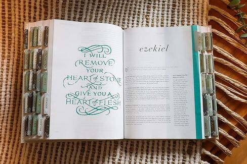 الملح والضوء - نعيم الصنوبر - رقائق الذهب - طلاء غير لامع - علامات الكتاب المقدس - يوميات - علامات تبويب فهرس جميلة - 66 كتابًا + إضافي - فهرسة - مغلفة - متينة - جودة عالية - محايد - للنساء والرجال in Kuwait