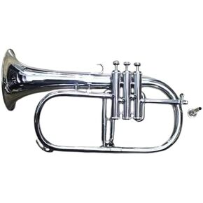 مجموعة Flugelhorn & Bb Trumpet - لمسة نهائية من الكروم، جودة احترافية، حافظة صلبة، قطع أبواق 7C و3C، مثالية للمبتدئين والطلاب فضي