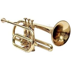 Cornet Bb low pitch brass musical instrument